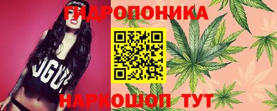 бошки Канаш