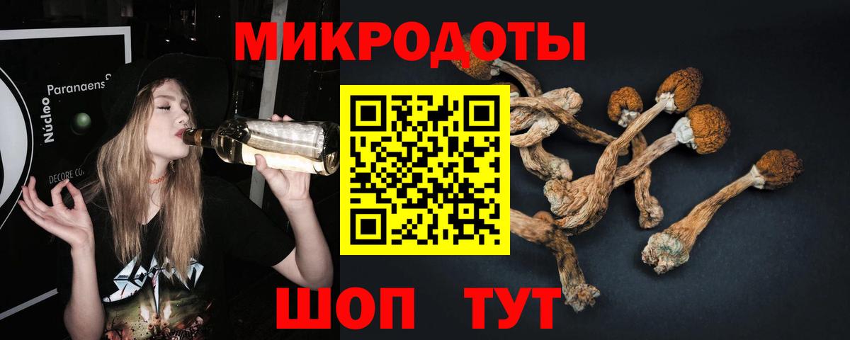 Галлюциногенные грибы мицелий  Псилоцибиновые грибы Psilocybine cubensis  Вход с VPN  Краснодар 